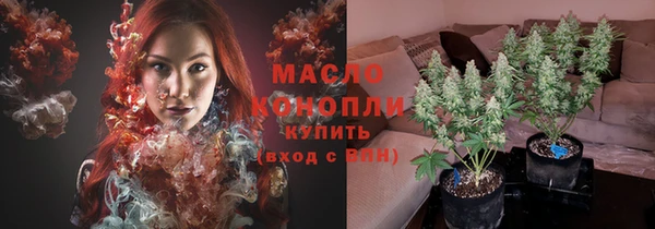 spice Бородино